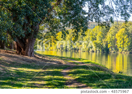Riverside path on sunny summer day. Calm Labe river near Litomerice, Czech Republic 48575967