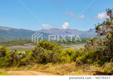 View of the forest and the mountains of Aberdare 48576057