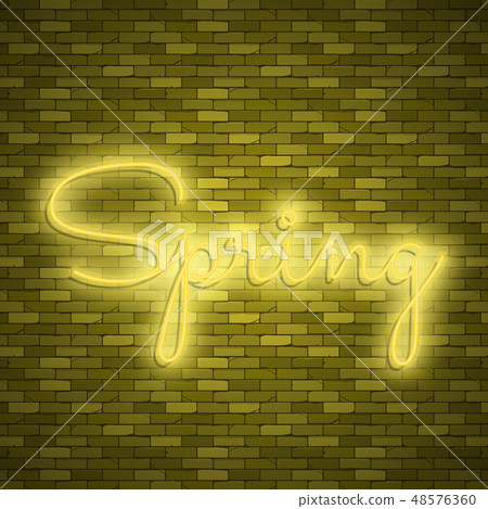 Neon banner spring. Stock vector. Poster for spring party. 48576360