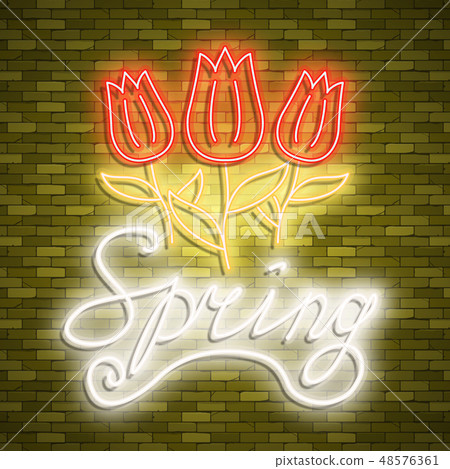 Neon banner spring. Stock vector. Poster for spring party. Neon banner spring. Stock vector. Poster for spring party. 48576361