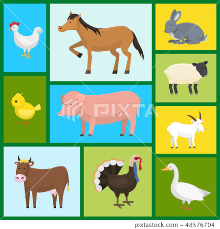 Set of farm domestic animals seamless pattern vector illustration. Collection of cute pet animal 48576704