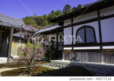Yamaguchi Shogakuji Sesshin garden backyard Yamaguchi Shogakuji Sesshin garden backyard 48577138