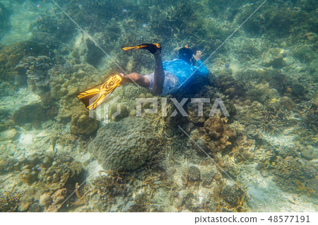 snorkeling diver snorkeling diver 48577191