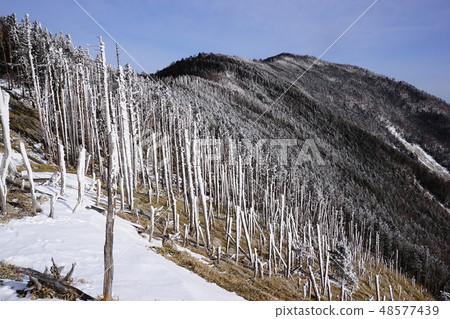 Ridgeline到Genzaka Ridge 48577439