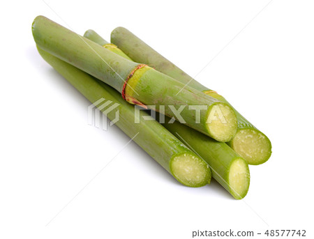 Sugar cane isolated on white background 48577742