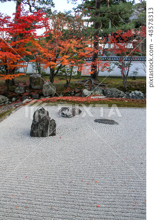秋葉,Sanshin石頭在Yokoyado庭院裡,在Sokokuji的Longvuk水 秋葉,Sanshin石頭在Yokoyado庭院裡,在Sokokuji的Longvuk水 48578313