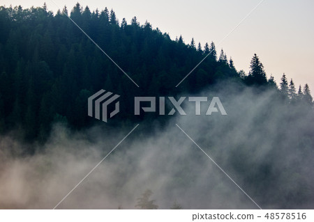 Foggy mountain forest. 48578516