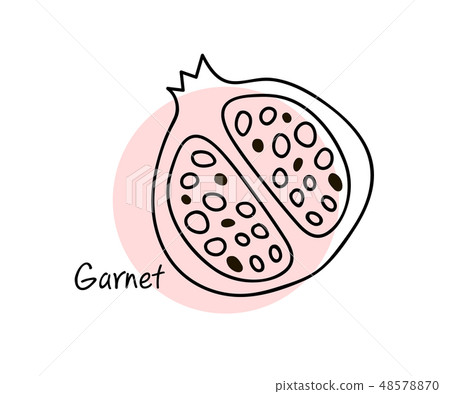 Pomegranate fruit. Line art graphic. Restaurant template. Graphic illustration. 48578870