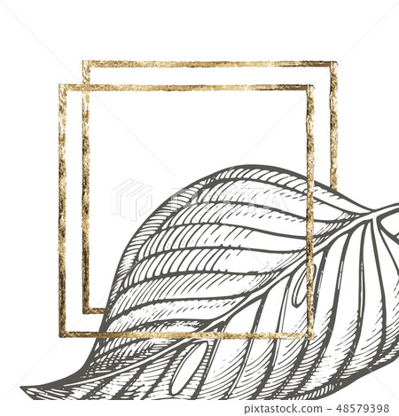 Summer tropical leaves design with gold frame. Floral background illustration. Invitation or card Summer tropical leaves design with gold frame. Floral background illustration. Invitation or card 48579398