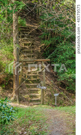 Landscape of Ontaki citizen's forest in spring Landscape of Ontaki citizen's forest in spring 48579575