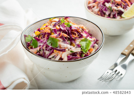 Classic coleslaw salad. Classic coleslaw salad. 48582843