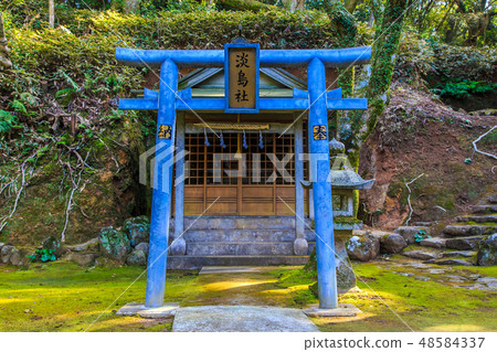金平神社（長崎九社）[長崎市] 48584337