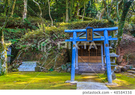 金平神社（長崎九社）[長崎市] 48584338