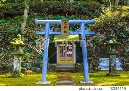 金平神社（長崎九社）[長崎市] 48584339