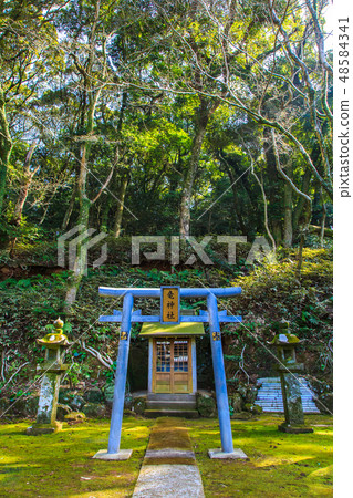 金平神社（長崎九社）[長崎市] 48584341