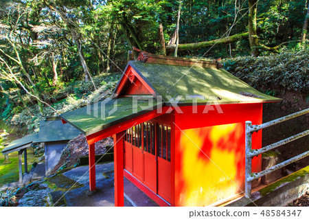 金平神社（長崎九社）[長崎市] 48584347