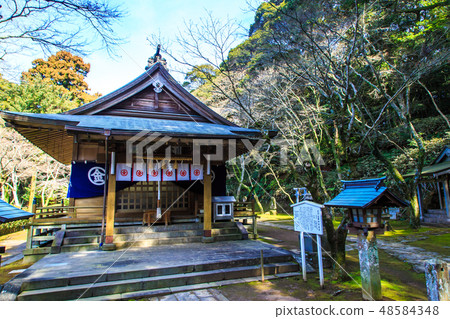 金平神社（長崎九社）[長崎市] 48584348