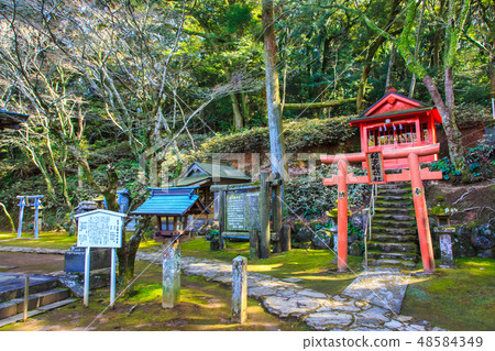 金平神社（長崎九社）[長崎市] 48584349