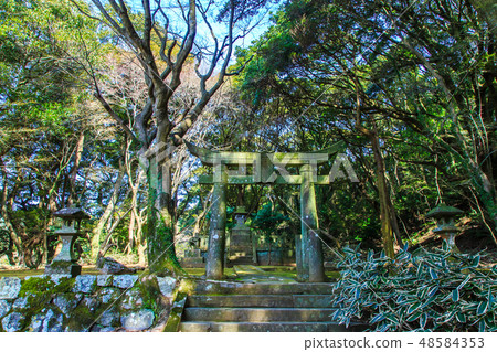 金平神社（長崎九社）[長崎市] 48584353