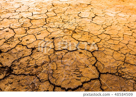 紅土裂縫 48584509