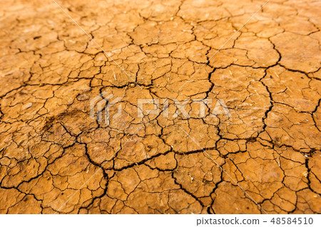 Cracks in the red soil 48584510