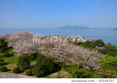Oki Misaki Park Oki Misaki Park 48584707
