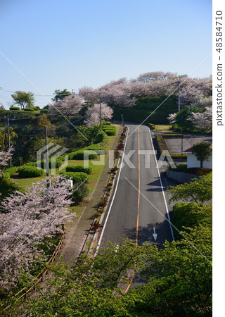 一條路 一條路 48584710
