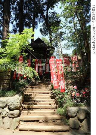密封的Yakushige 密封的Yakushige 48584855
