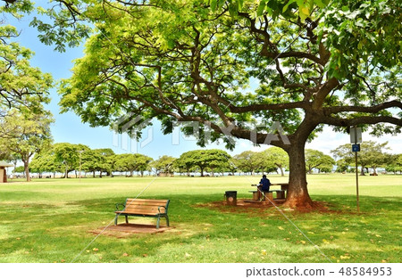 夏威夷的假期 48584953