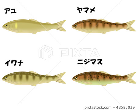 Various river fish 48585039