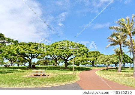 夏威夷的假期 夏威夷的假期 48585250