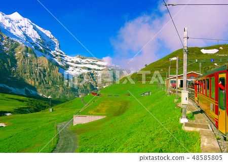 Swiss Alps 48585805