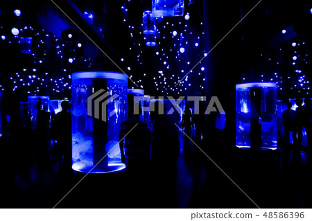 品川Aquapark水母 品川Aquapark水母 48586396