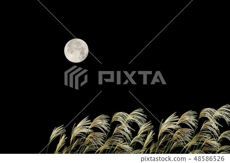 a full moon, full moon, full-moon 48586526