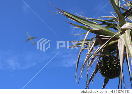An airplane flying in the southern country sky 48587678