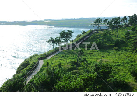 Jeju Seogwipo Coast, Sea, Songak Mountain, Jeju Seogwipo Coast, Sea, Songak Mountain, 48588039