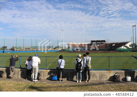 Fans looking forward to watching baseball 48588412