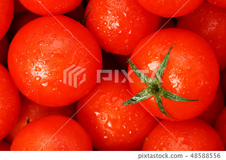 Fresh cherry tomatoes with closeup. Background red 48588556