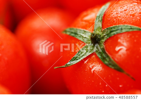 Fresh cherry tomatoes with closeup. Background red 48588557