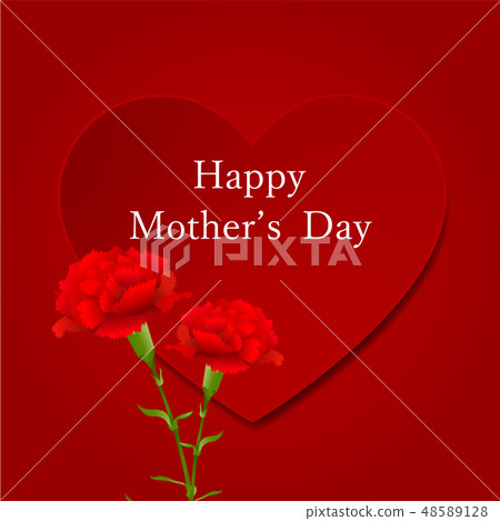 康乃馨心臟背景 48589128