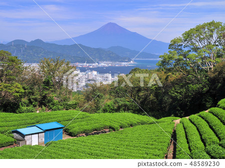 Landscape from Nippori-8781 48589230