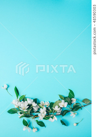 Creative layout with blooming apple tree on a blue background. Flat lay. Concept - spring minimalism 48590303