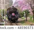 Train with cherry blossom in japan 48590373