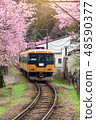 Train with cherry blossom in japan 48590377