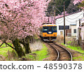Train with cherry blossom in japan 48590378