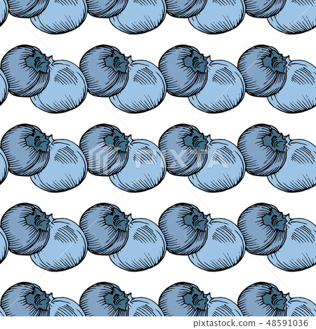 Vector Blueberry green and blue engraved ink art. Berries and green leaves. Seamless background 48591036