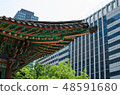 韓國傳統，單色，彩色，鐘路，首爾 48591680