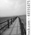 順天灣，旅行，suncheon，蘆葦，黑白照片 48591875