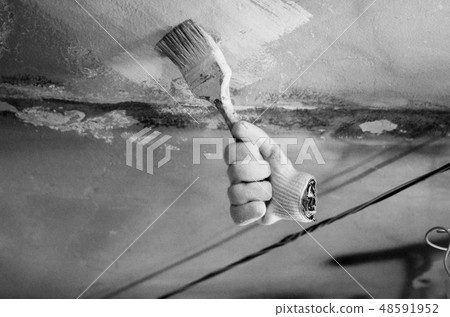 刷子，油漆，油漆 48591952
