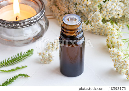 A bottle of yarrow essential oil with fresh yarrow A bottle of yarrow essential oil with fresh yarrow 48592173
